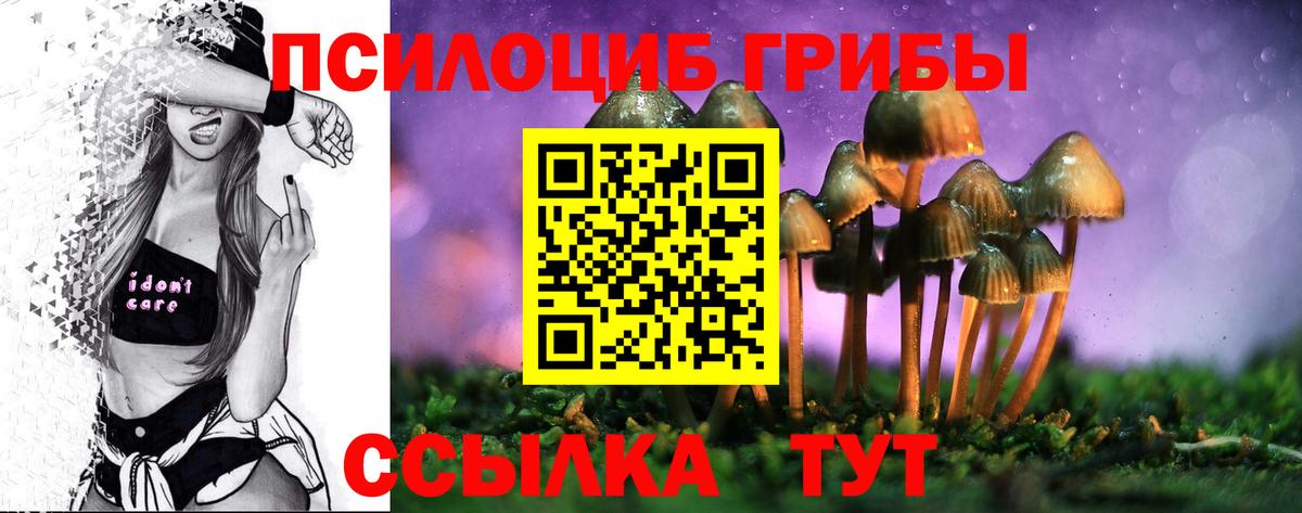 Псилоцибиновые грибы Magic Shrooms  Вход с VPN  цена наркотик  Горячий Ключ 